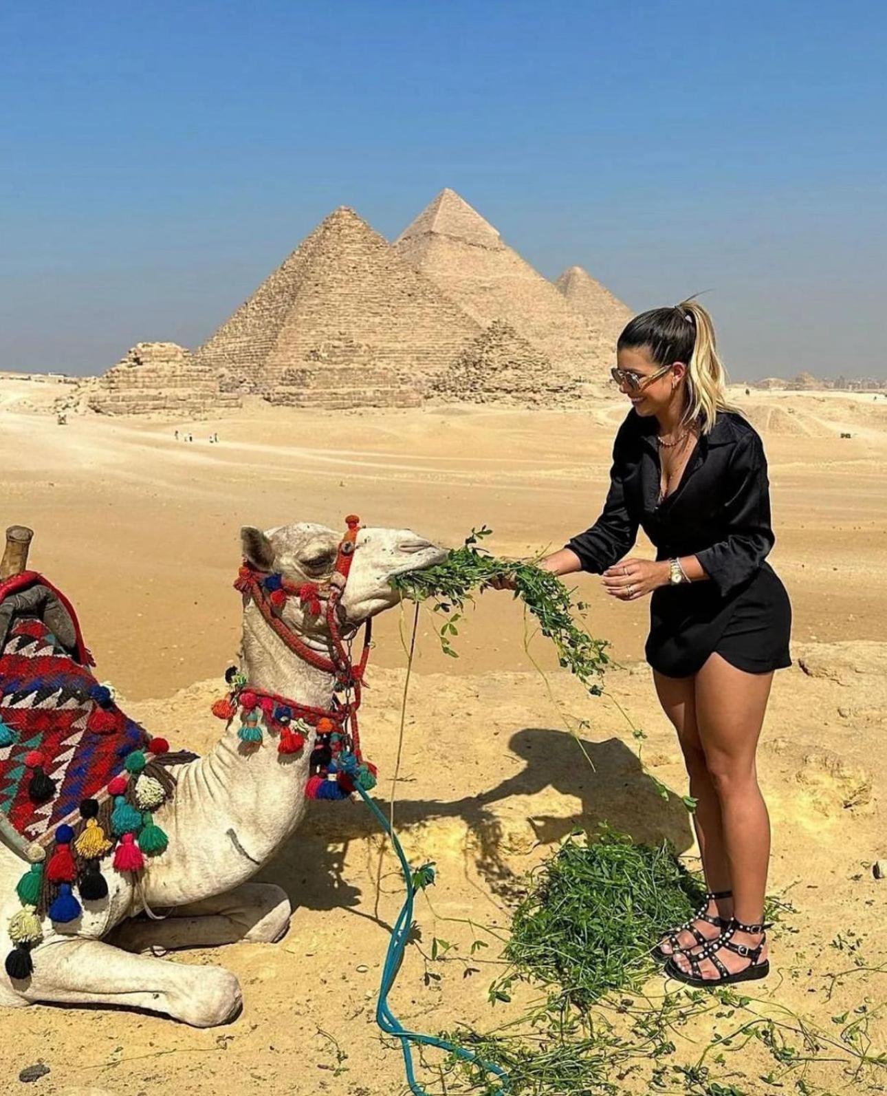 The Boulevard Sphinx Tower Kafret el-Gabal المظهر الخارجي الصورة